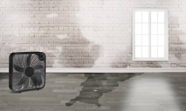 Best Water damage restoration near me  in Port Monmouth, NJ