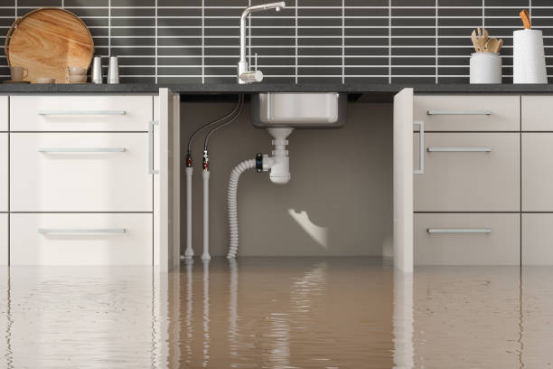 Best Local water damage restoration  in Port Monmouth, NJ